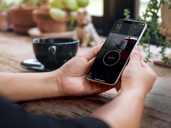 Chico Mazda in Chico CA